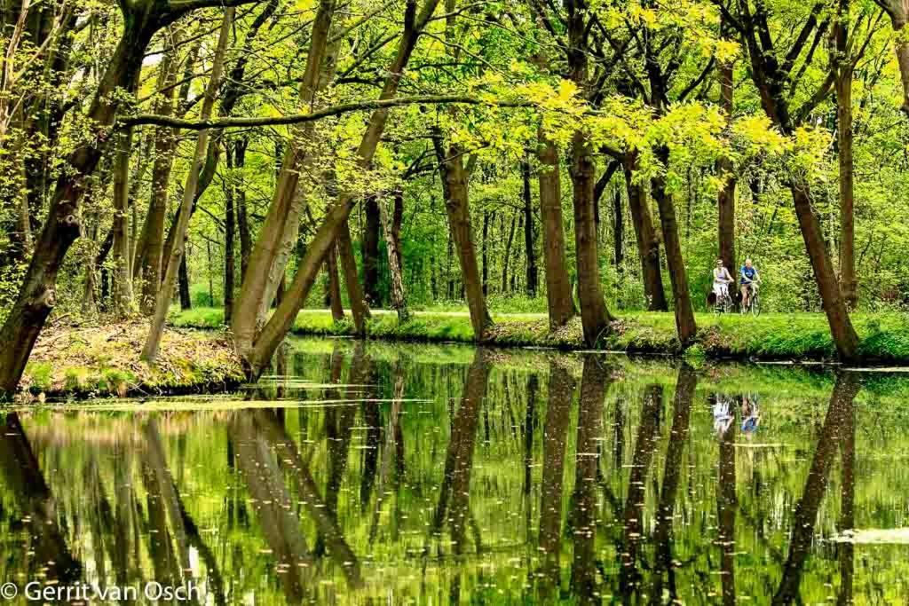 Logement In De Peel Griendtsveen 外观 照片